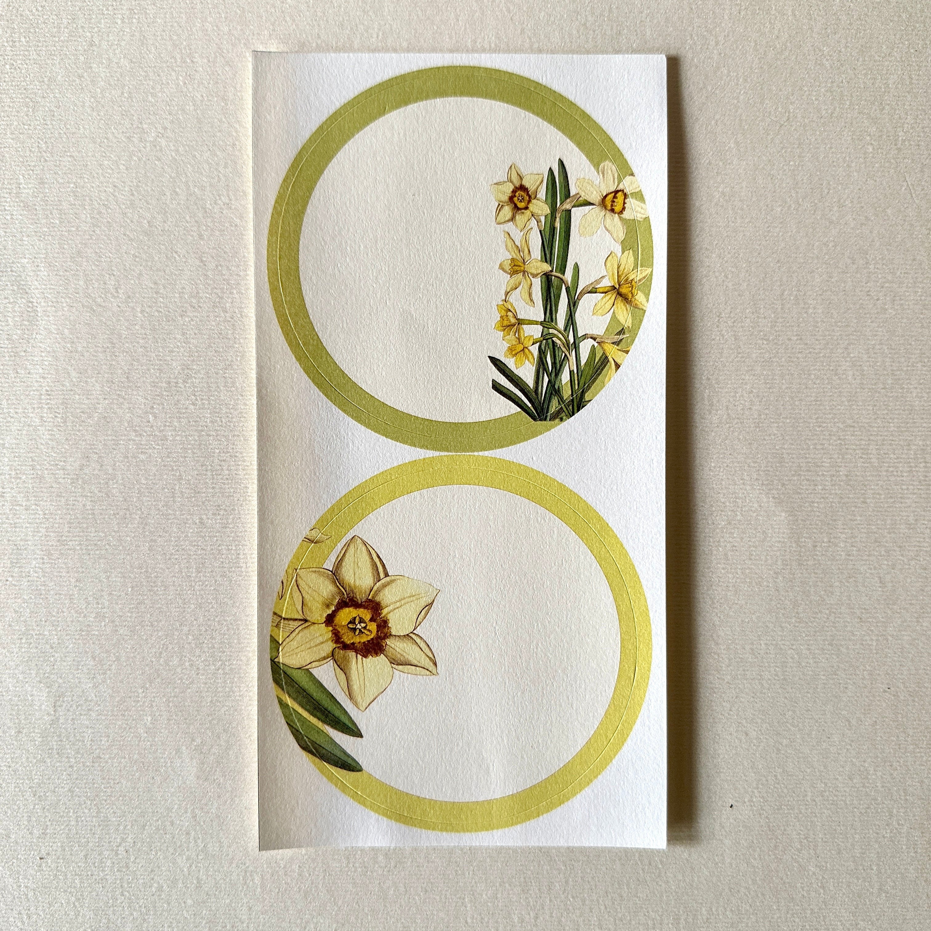Daffodils Stickers
