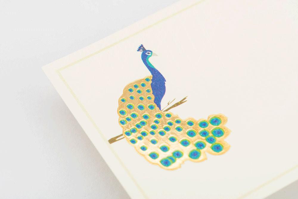 MorPopat & Alcazar Trio Kit