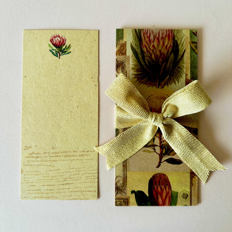Protea Ribbon Envelopes with Notecards